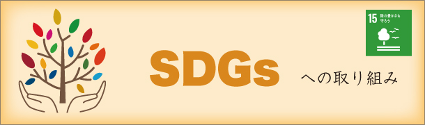 SDGs